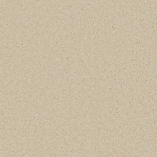 Warm beige carpet surface with fine peppered flecks and close tactile texture