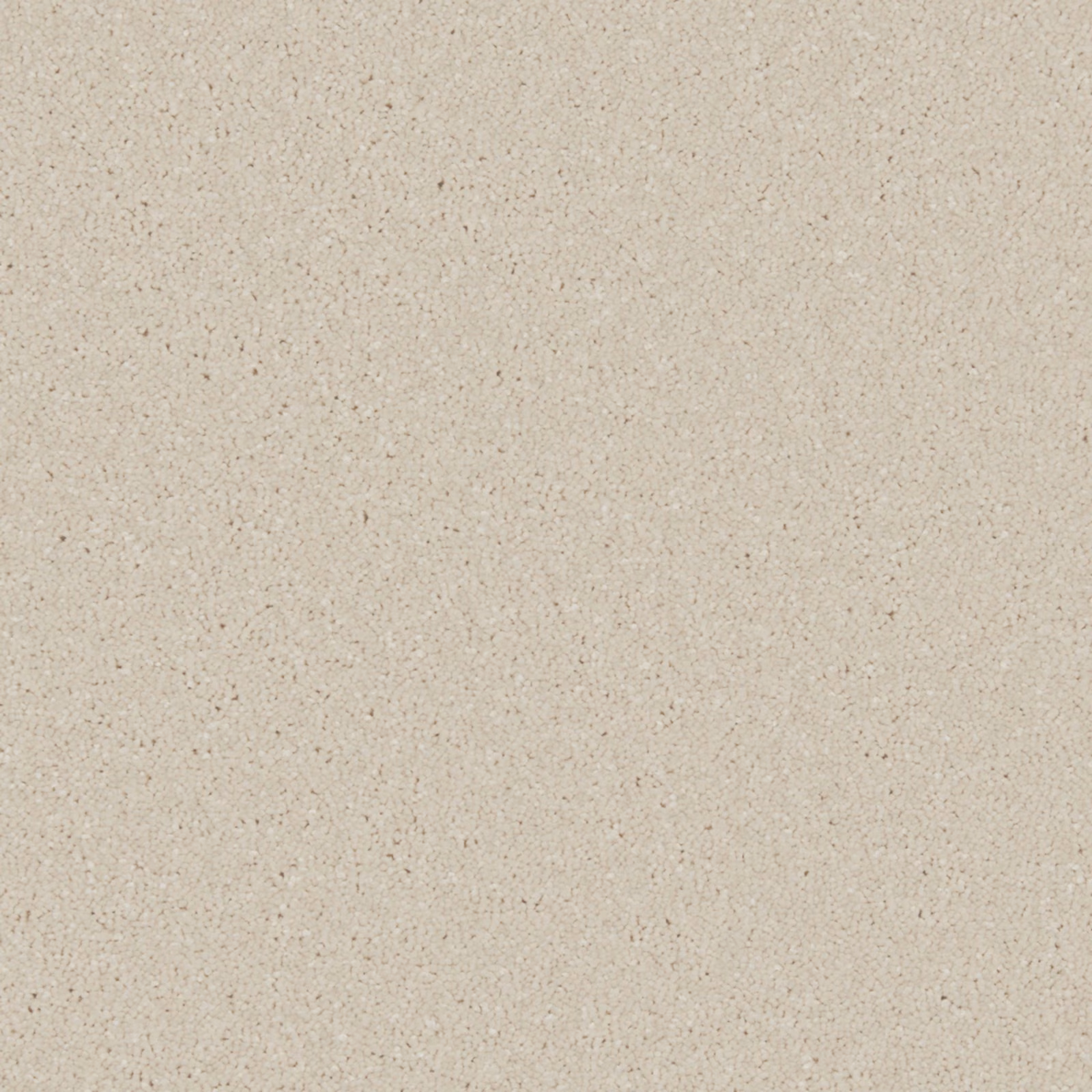 Warm chalk white carpet with fine taupe speckling and softly mottled texture
