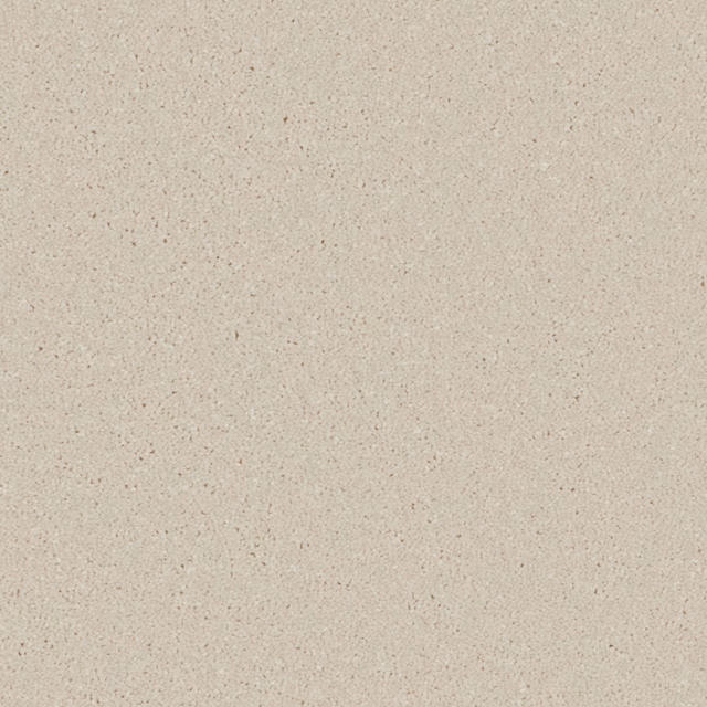 Warm chalk white carpet with fine taupe speckling and softly mottled texture