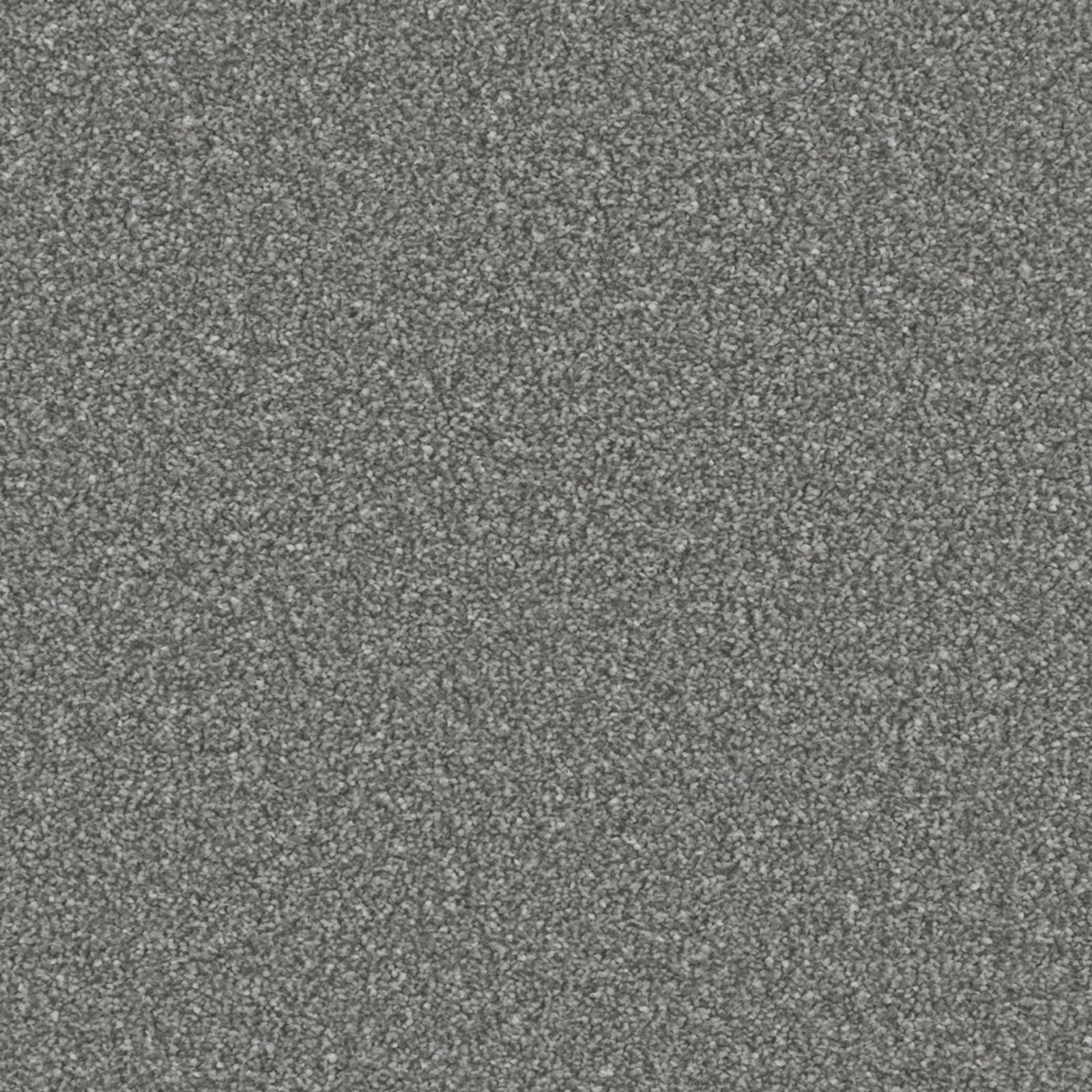 Cool charcoal-grey carpet with dense salt-and-pepper flecking and close texture
