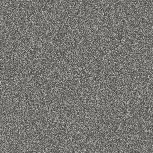 Cool charcoal-grey carpet with dense salt-and-pepper flecking and close texture