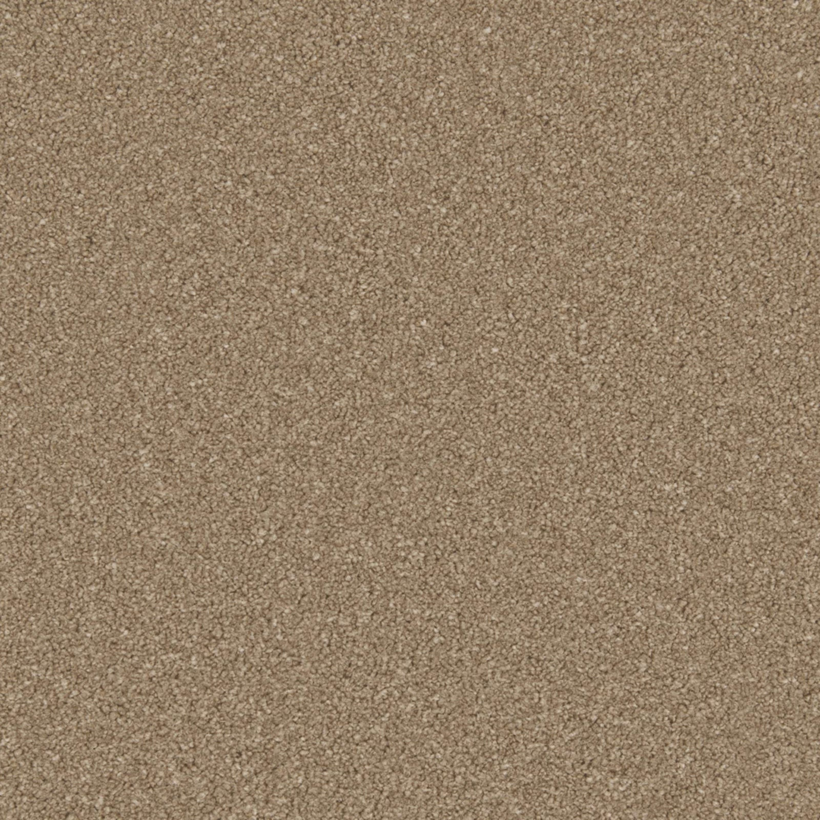 Dark warm taupe carpet with a dense, finely mottled low-texture surface