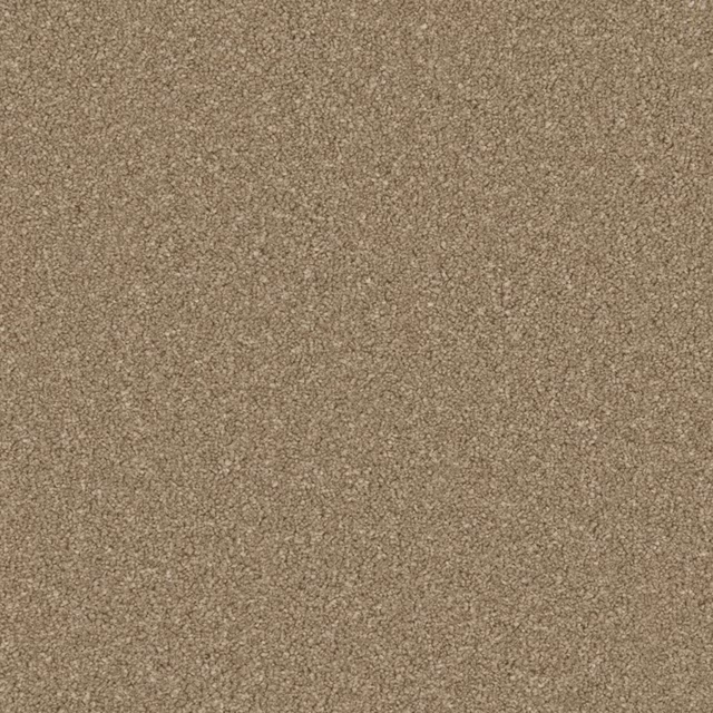 Dark warm taupe carpet with a dense, finely mottled low-texture surface
