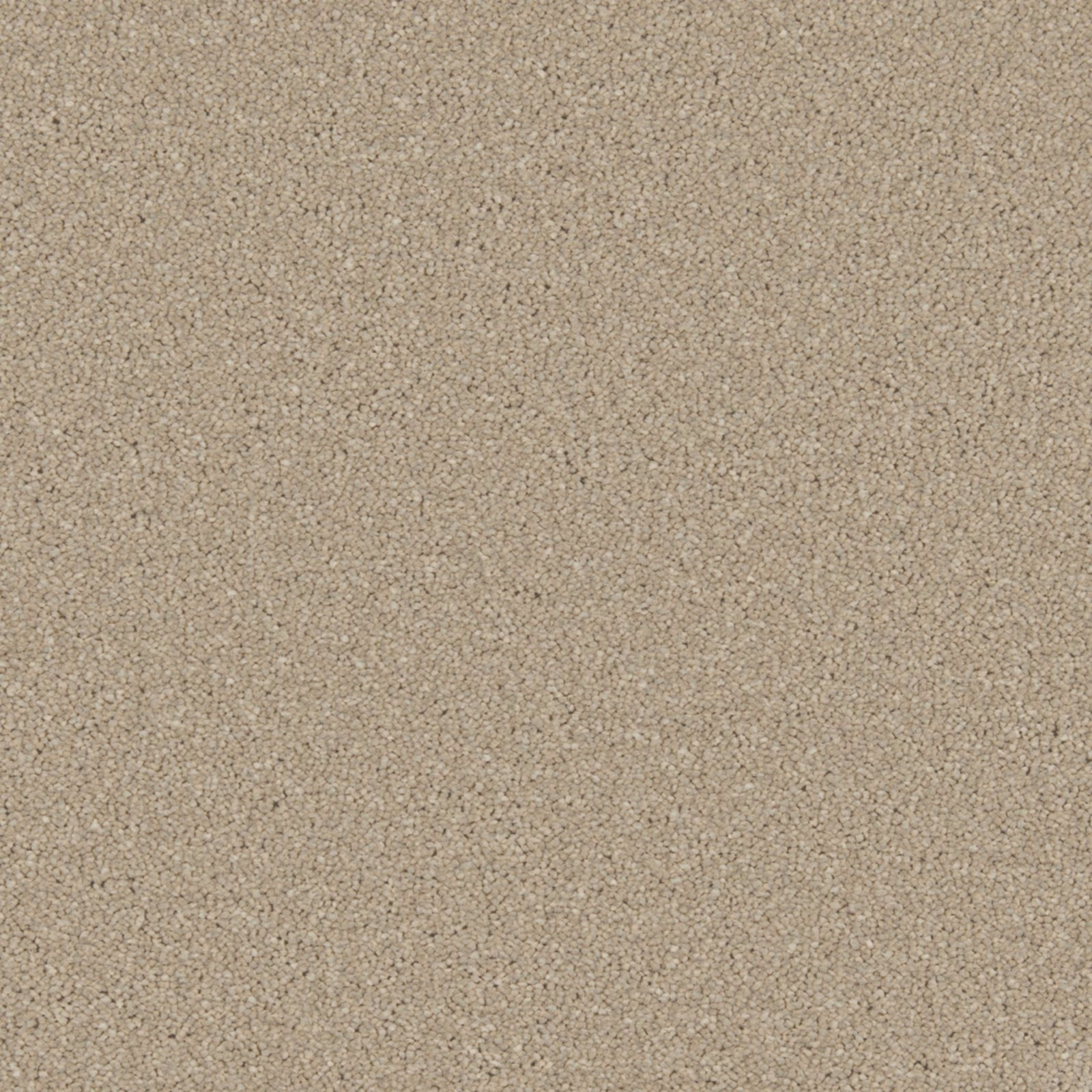 Close-up of warm taupe-beige Dove Feather carpet with fine mottled pile texture