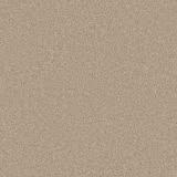 Close-up of warm taupe-beige Dove Feather carpet with fine mottled pile texture