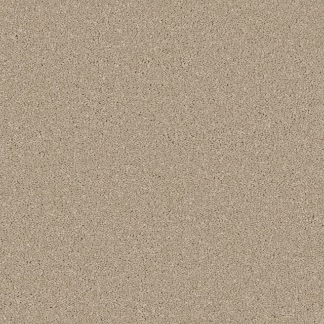 Close-up of warm taupe-beige Dove Feather carpet with fine mottled pile texture