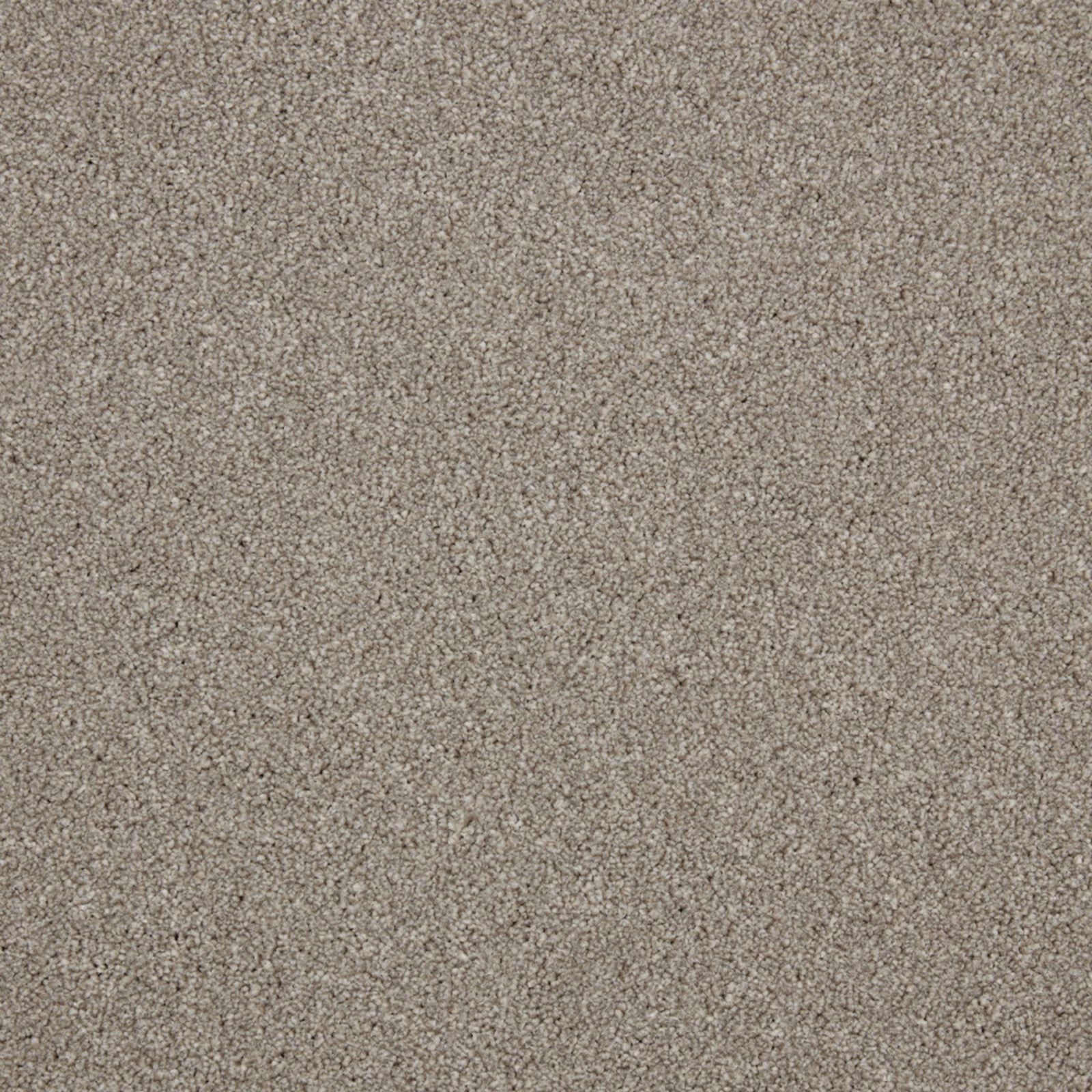 Close-up of warm grey carpet with fine taupe flecks and dense short pile