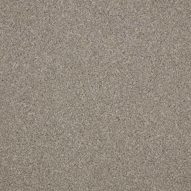 Close-up of warm grey carpet with fine taupe flecks and dense short pile