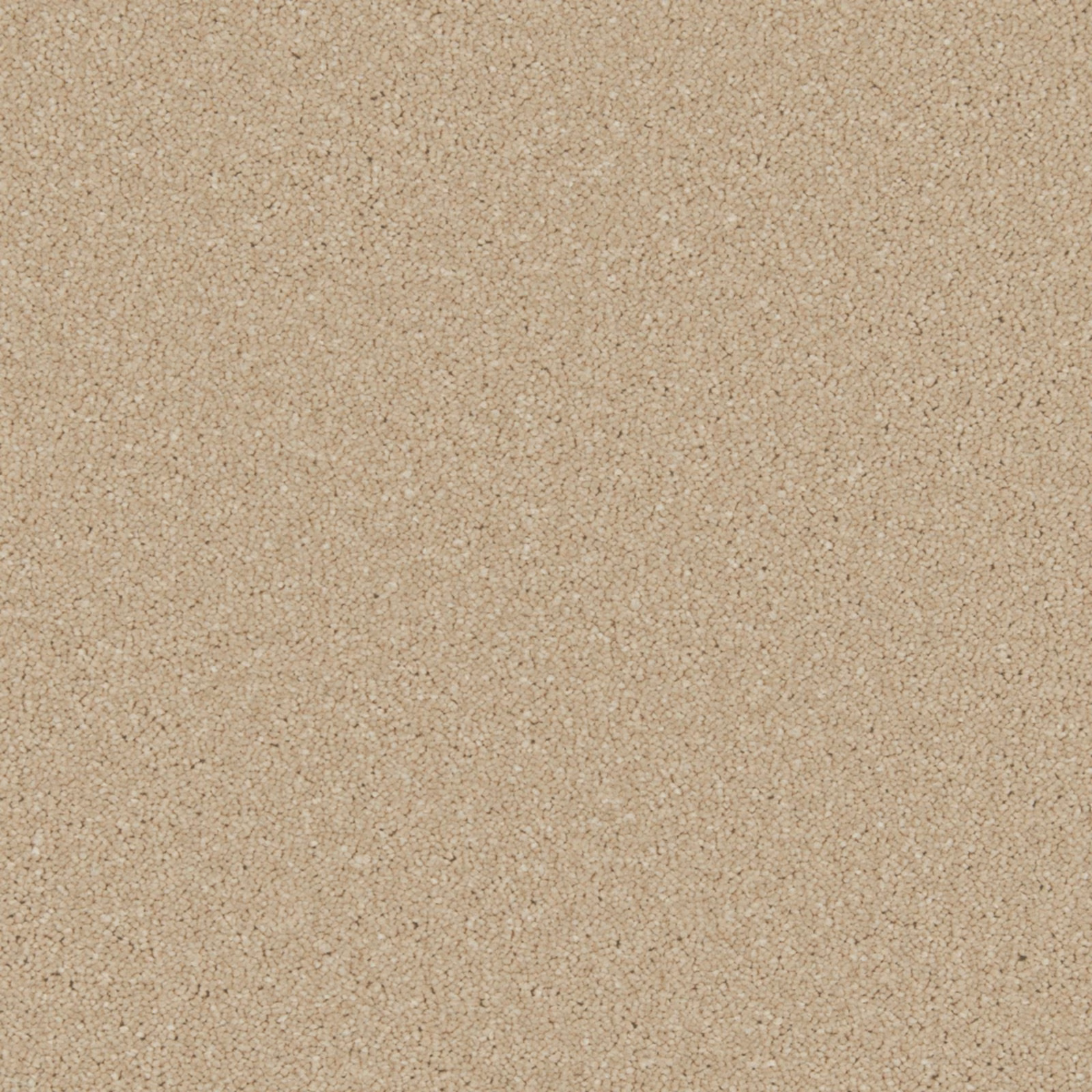 Warm beige-taupe carpet swatch with a close, softly flecked nubby texture