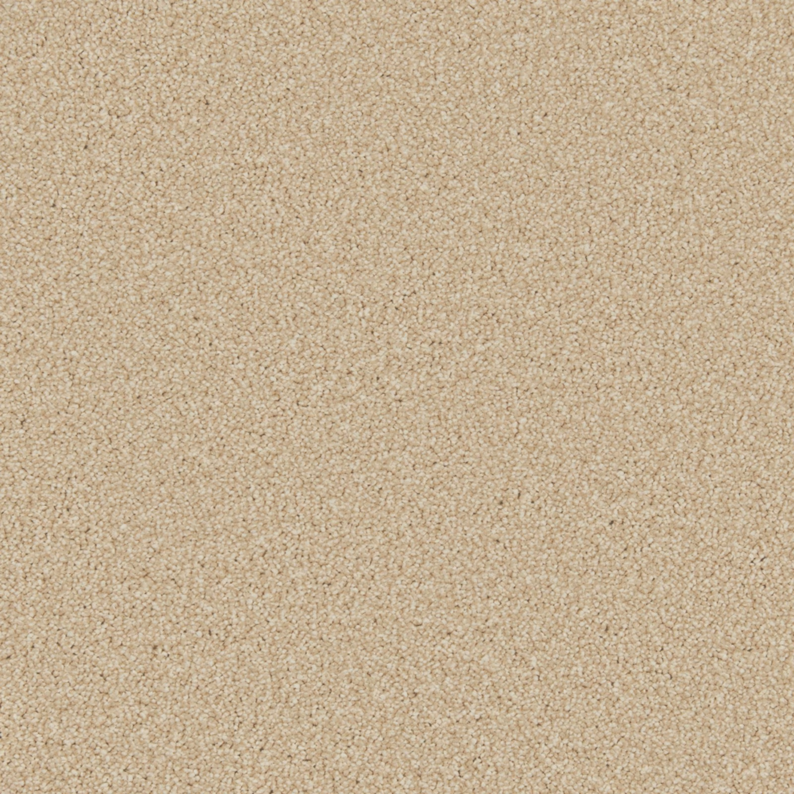 Warm oatmeal-beige carpet with fine pebbled texture and subtle tonal variation