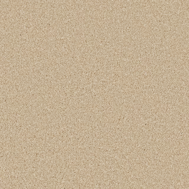 Warm oatmeal-beige carpet with fine pebbled texture and subtle tonal variation