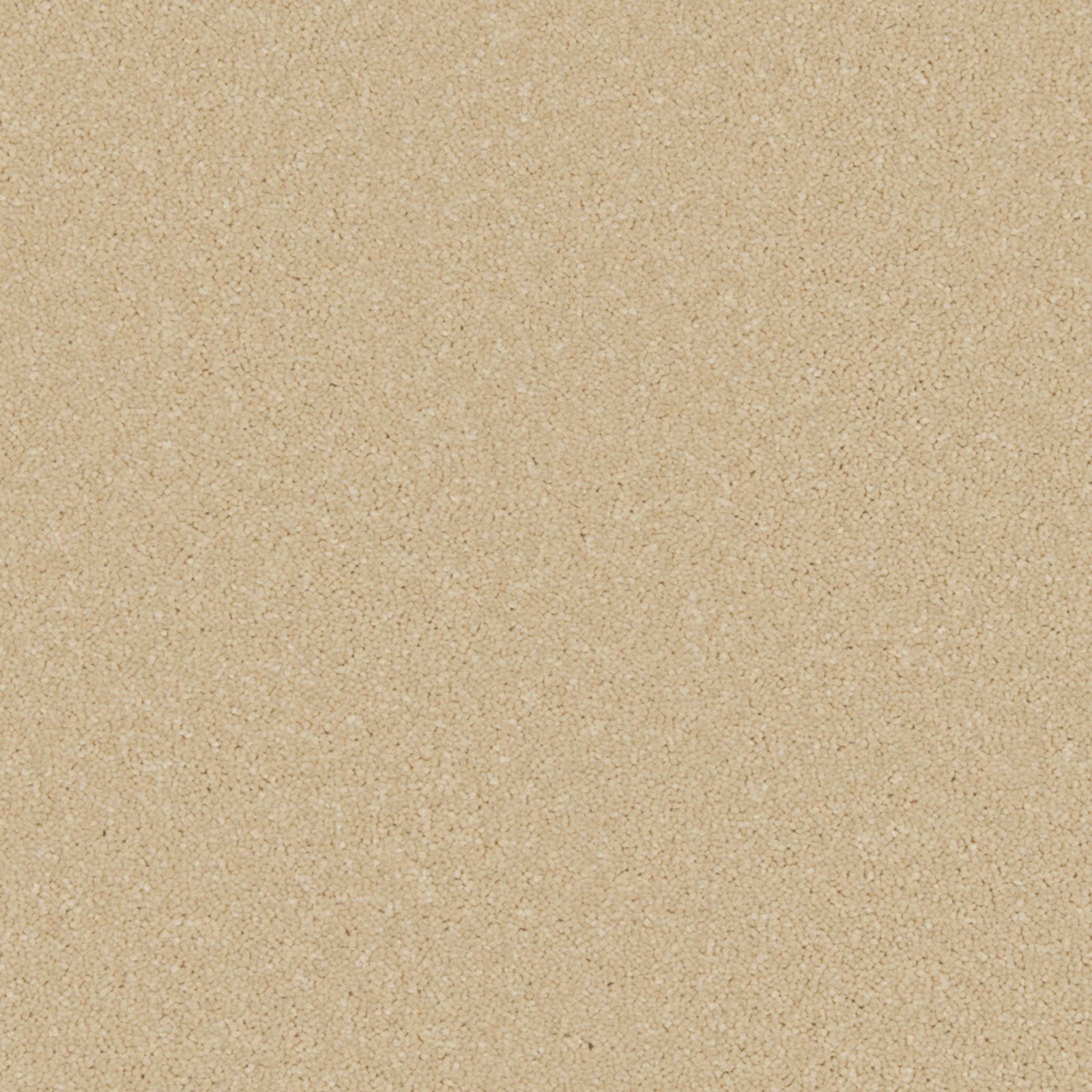 Warm palomino-gold carpet with a fine, softly flecked textured surface