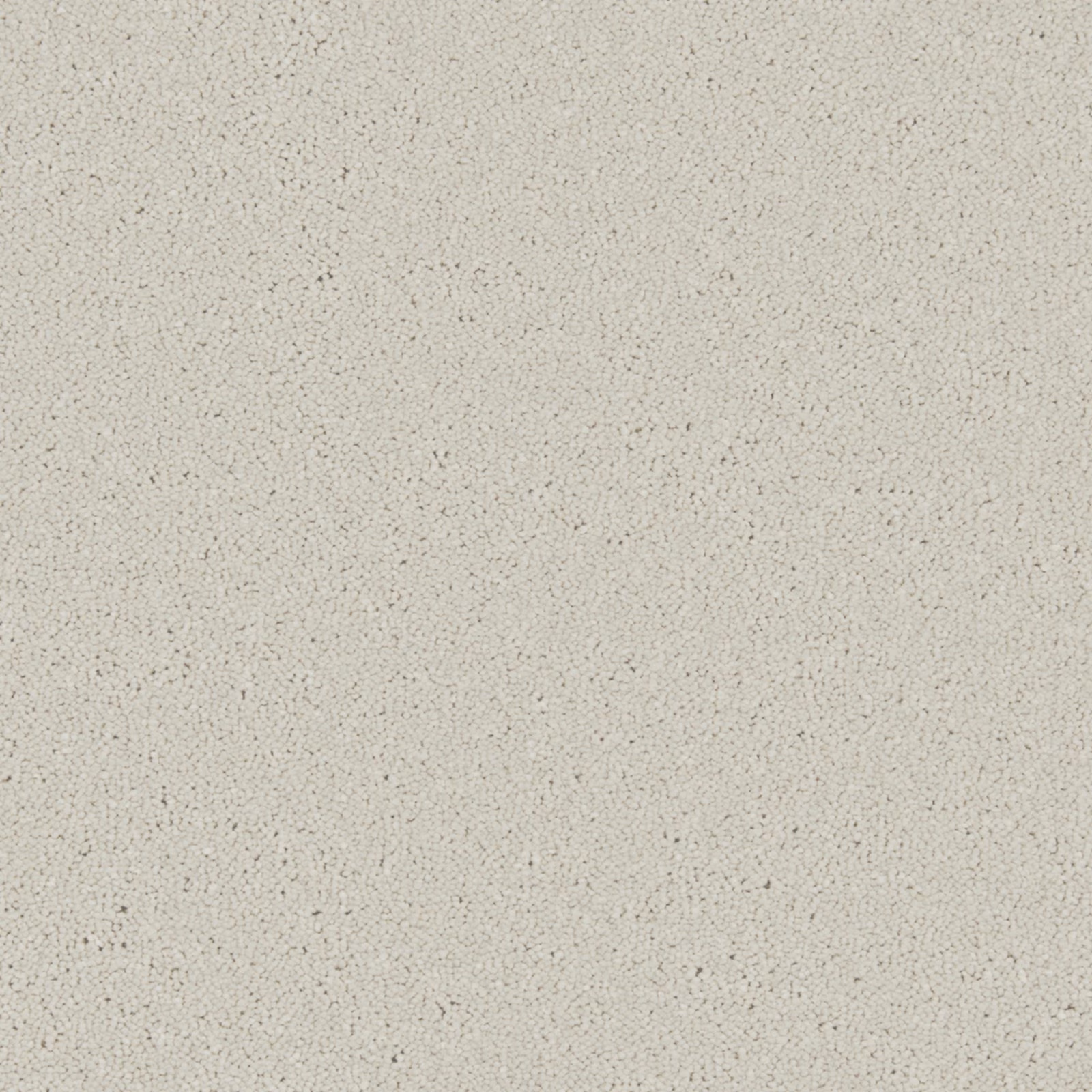 Pale warm-greige carpet with fine dark flecks and a softly grainy texture