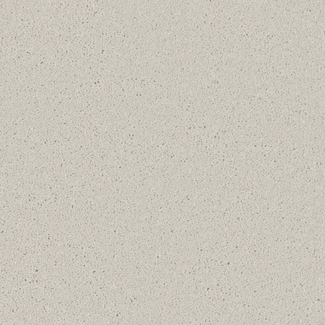 Pale warm-greige carpet with fine dark flecks and a softly grainy texture
