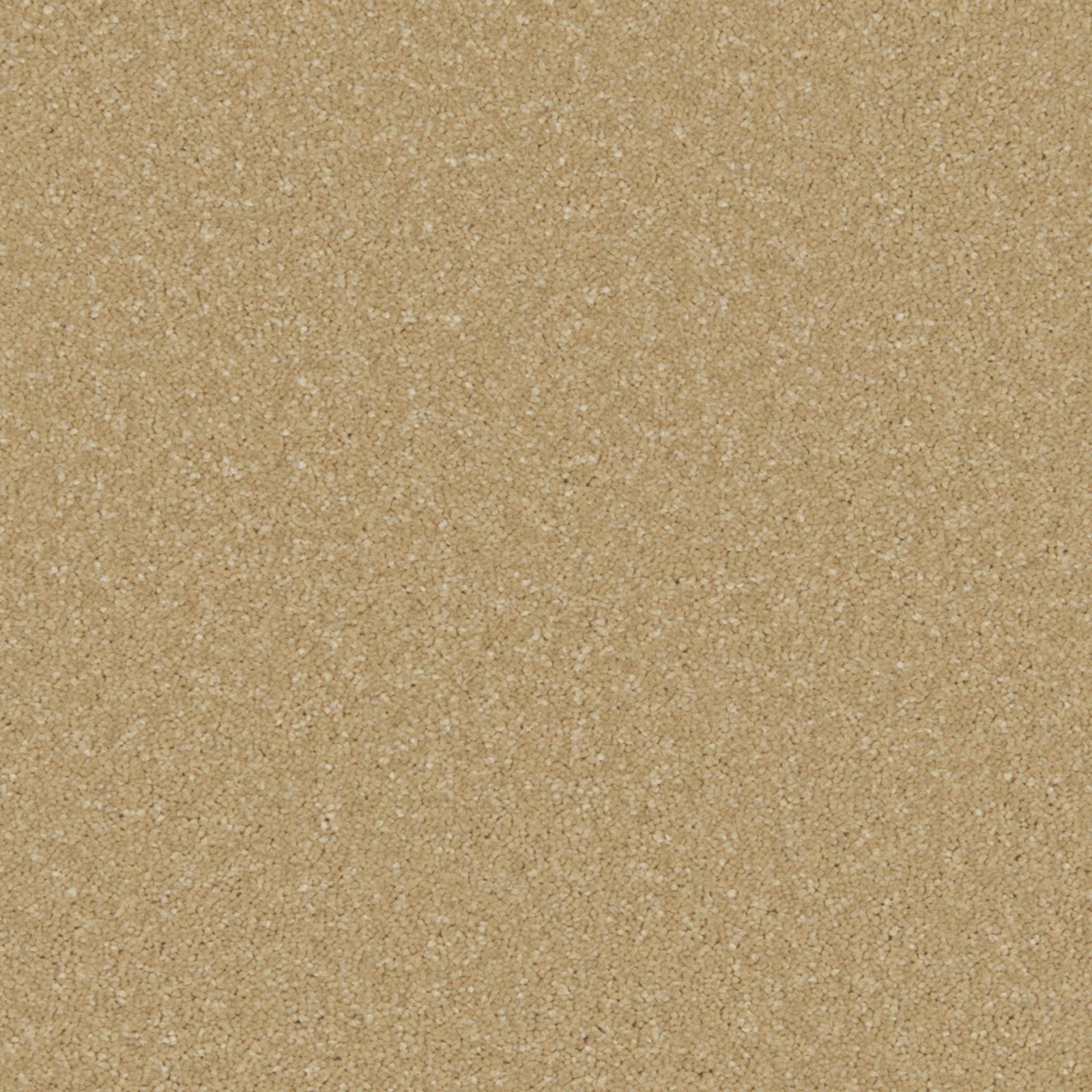 Warm sandy beige carpet with a fine, softly flecked textured surface