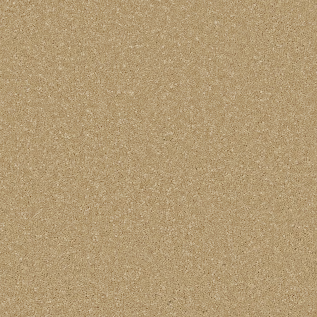 Warm sandy beige carpet with a fine, softly flecked textured surface