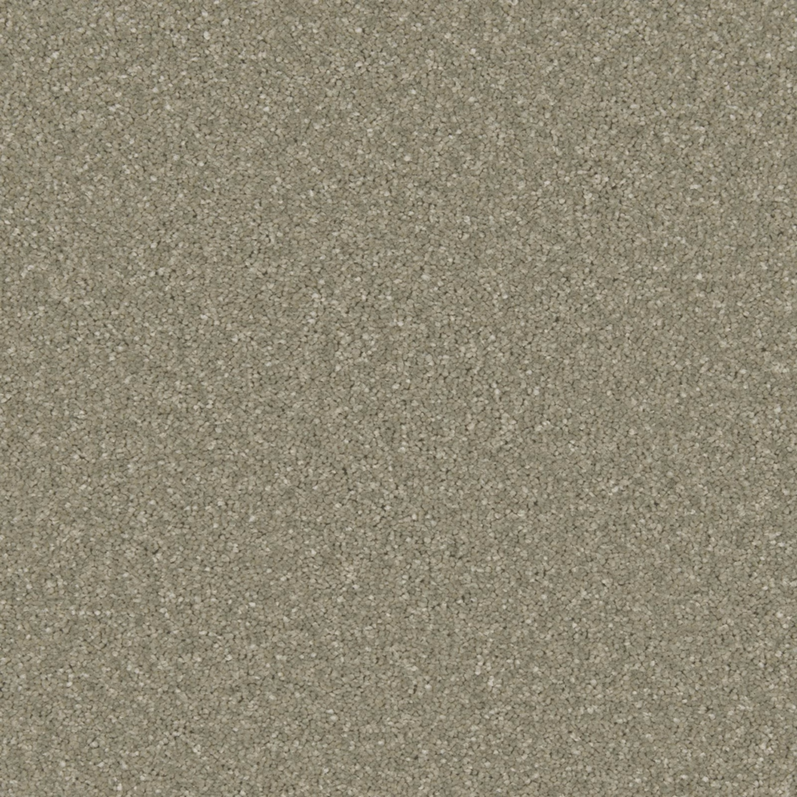 Close-up of muted olive-grey carpet with fine pale flecks and a dense textured surface