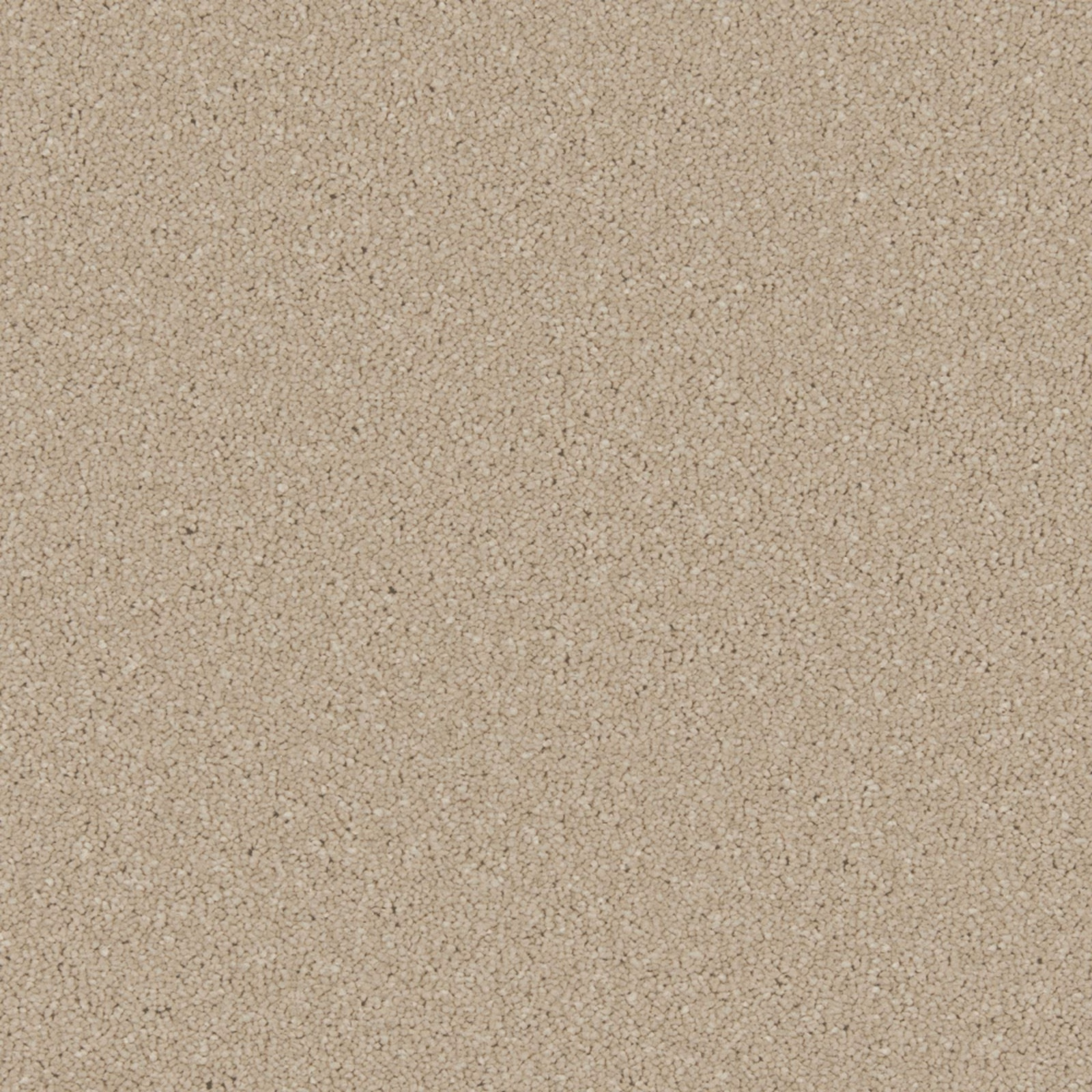 Warm stone-beige carpet with a fine pebbled texture and subtle tonal flecks