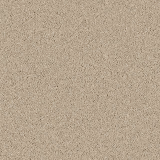 Warm stone-beige carpet with a fine pebbled texture and subtle tonal flecks