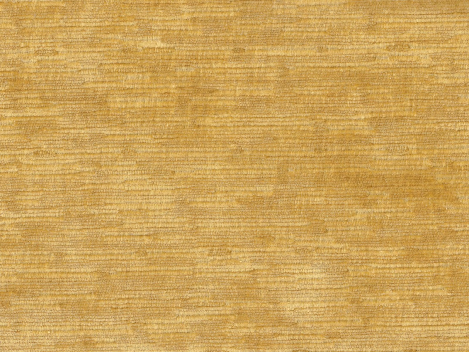 Warm ochre-gold velvet with fine horizontal striations and softly varied amber highlights
