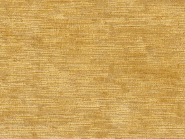 Warm ochre-gold velvet with fine horizontal striations and softly varied amber highlights