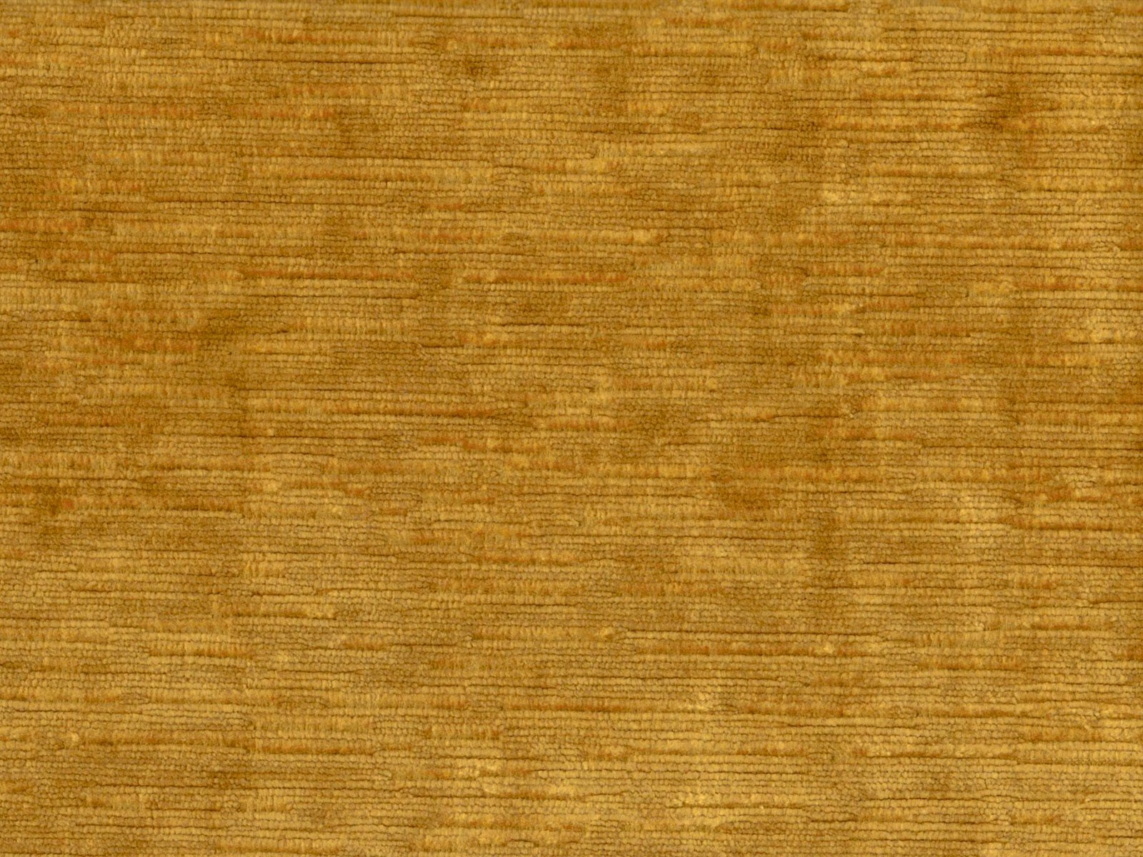 Warm golden ochre velvet with fine horizontal striations and a softly brushed surface