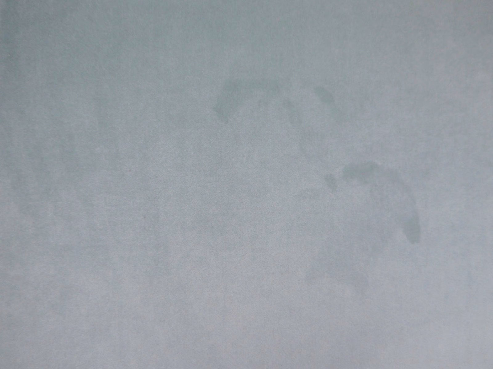 Misty blue-grey velvet with a softly clouded, low-contrast tonal surface