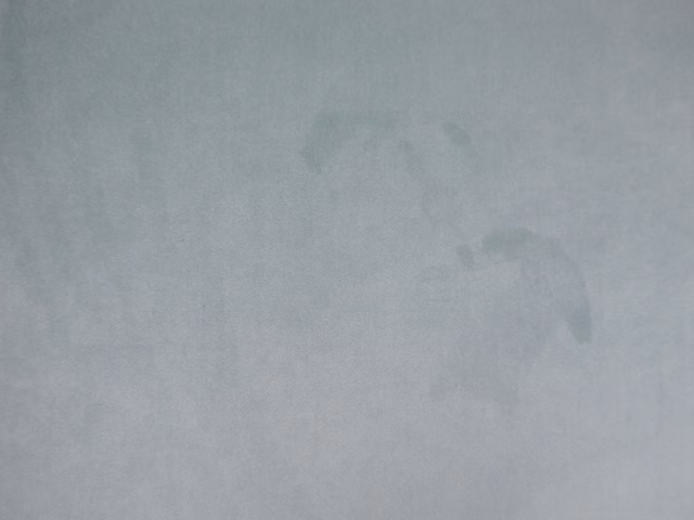 Misty blue-grey velvet with a softly clouded, low-contrast tonal surface