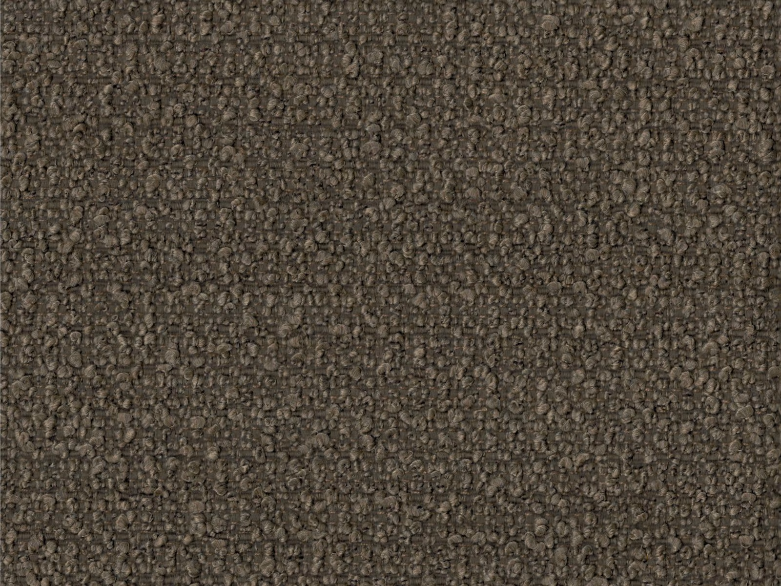 Deep taupe-brown Cortona boucle showing dense looped texture and subtle tonal variation