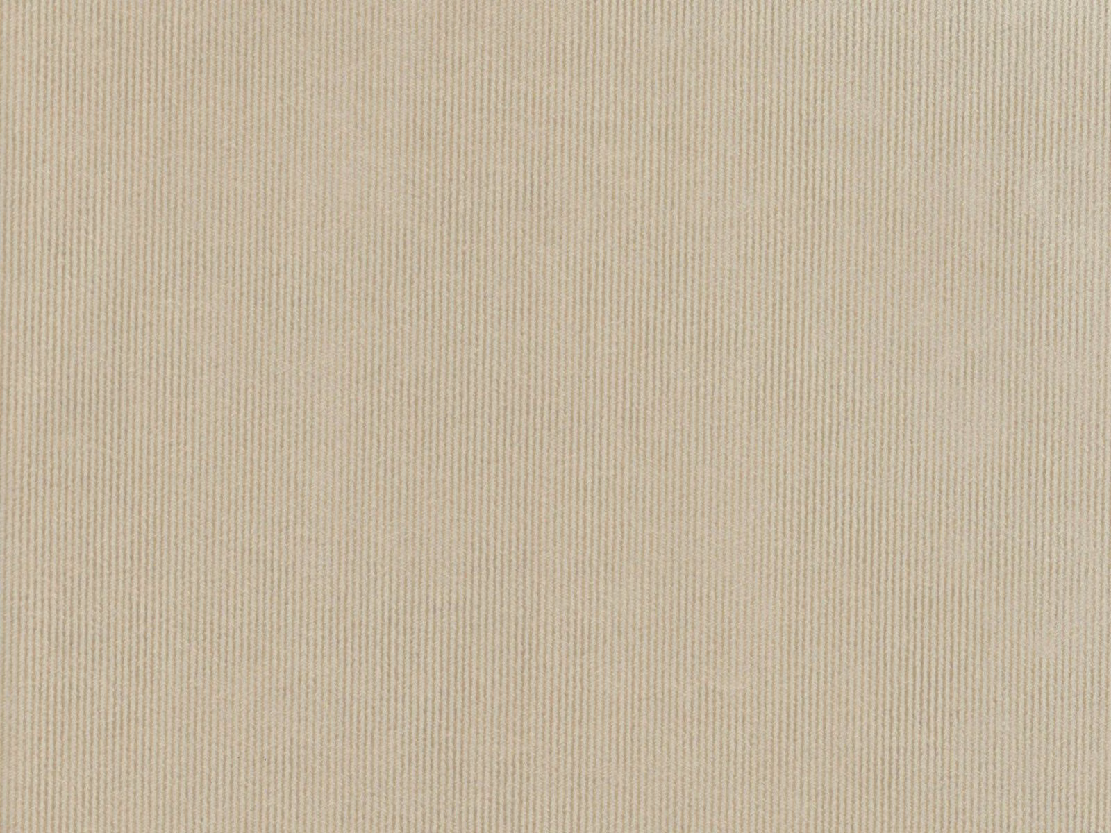 Pale warm greige velvet with a fine, closely spaced vertical rib