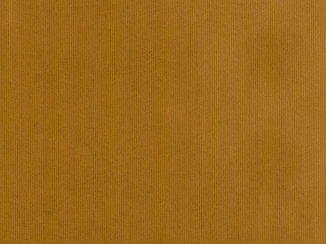 Warm mustard-gold velvet showing fine vertical pile lines and subtle amber shading