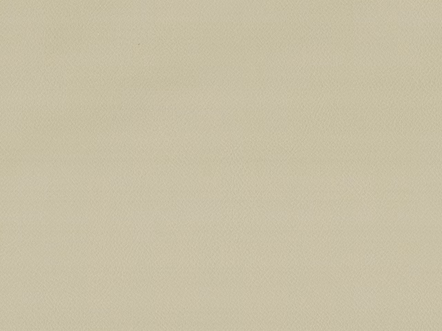 Pale stone-beige faux leather swatch with a fine, even grain