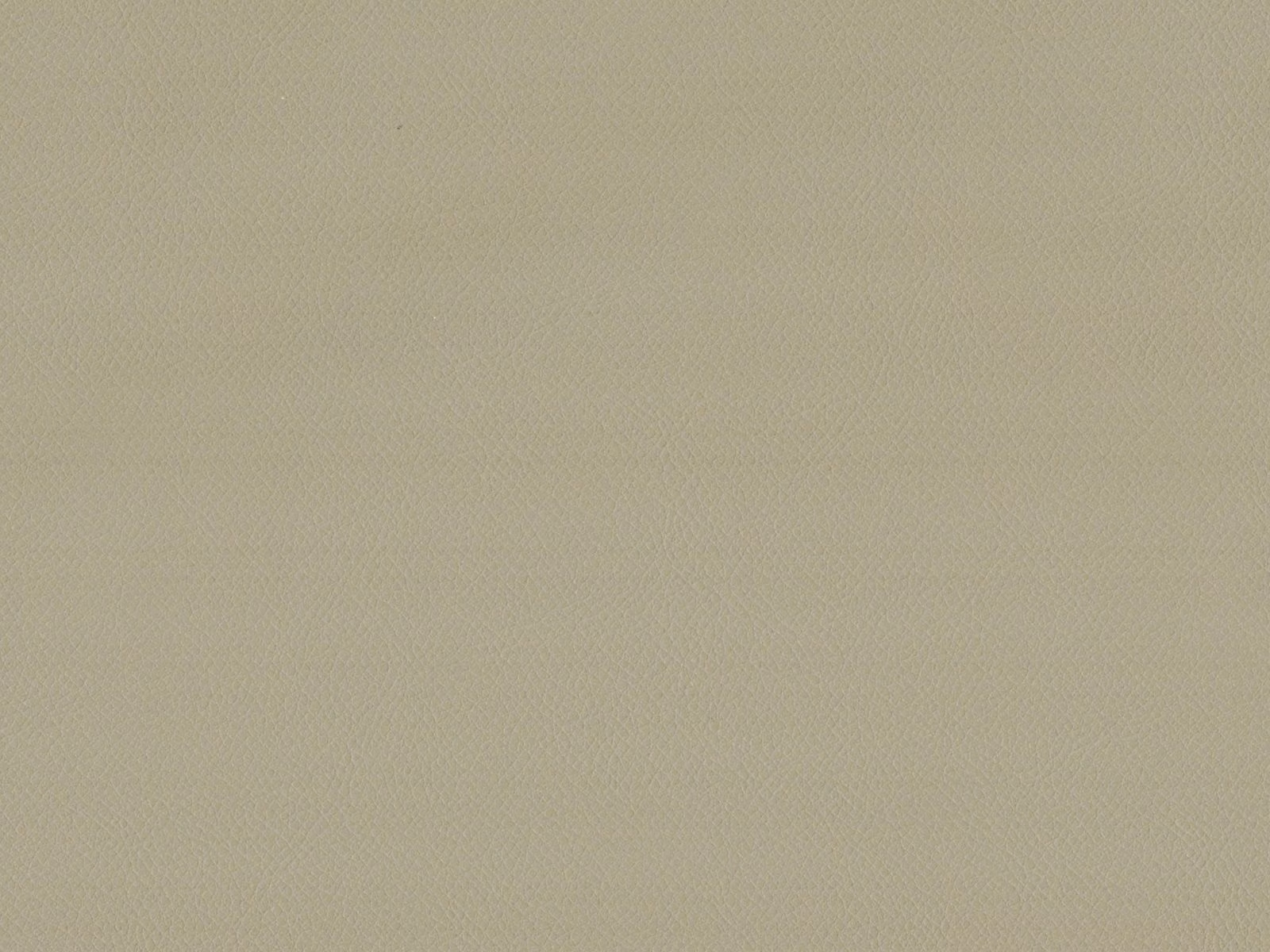 Pale taupe faux leather with a fine, softly pebbled surface