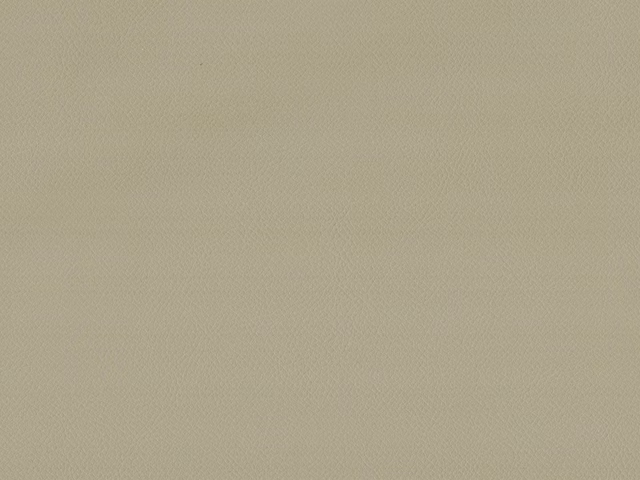 Pale taupe faux leather with a fine, softly pebbled surface
