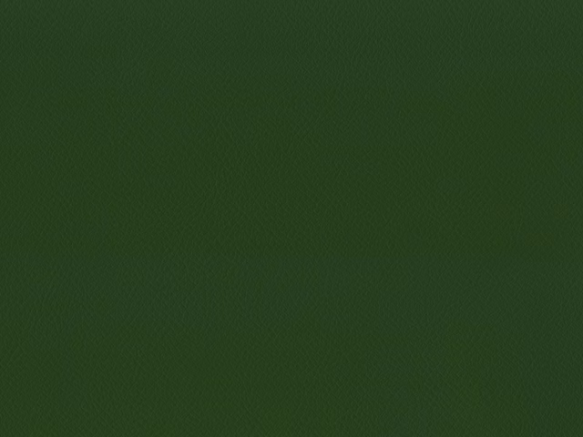 Deep forest-green faux leather swatch with a subtle fine grain and low sheen