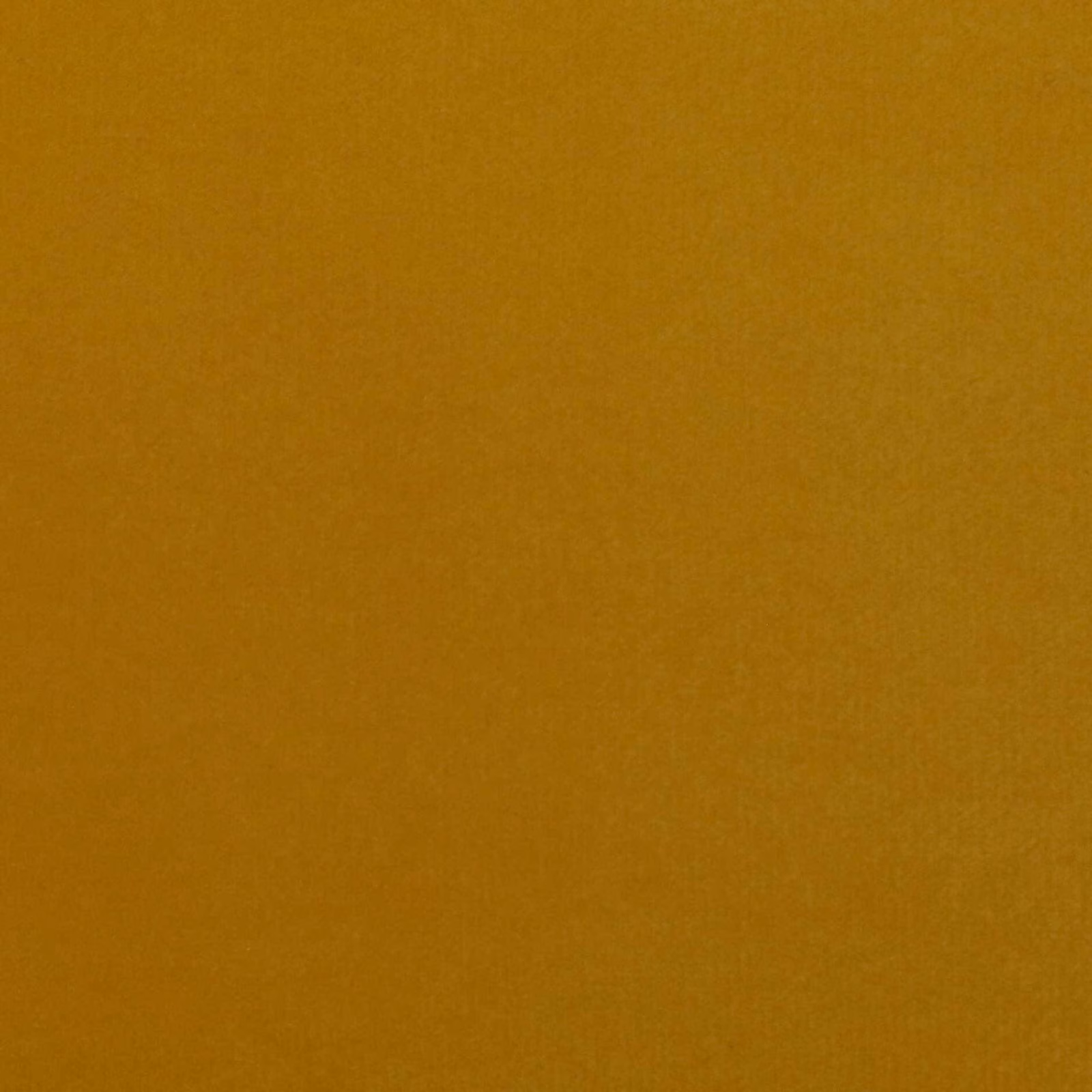 Close-up of rich mustard-gold plain velvet with softly shifting nap texture