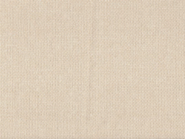 Pale warm-beige chenille with a fine nubby weave and subtle vertical texture