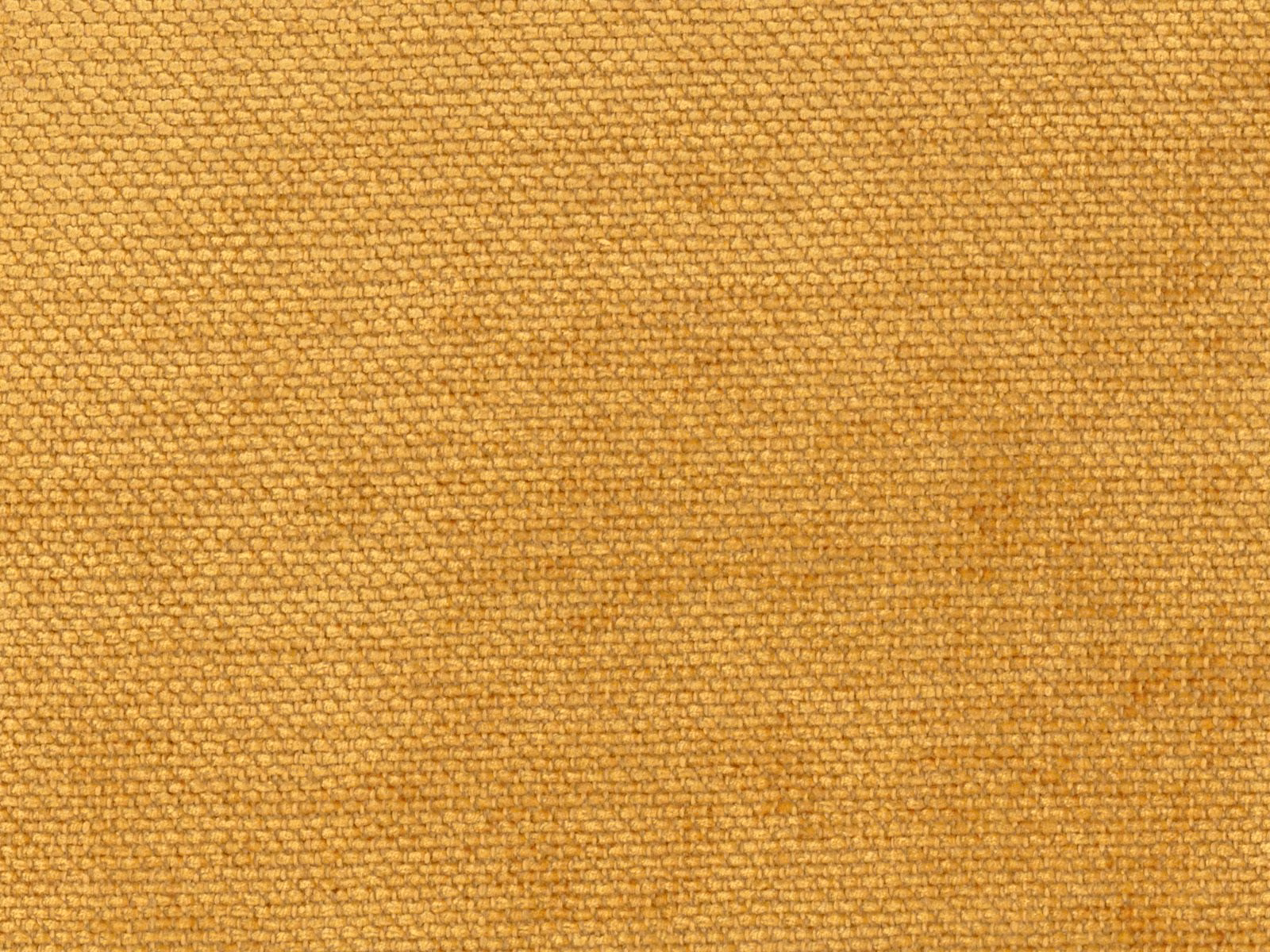 Warm golden ochre chenille with a close, softly pebbled woven texture