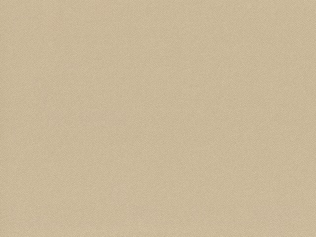 Warm oatmeal-beige flat weave with a subtle, even woven grain