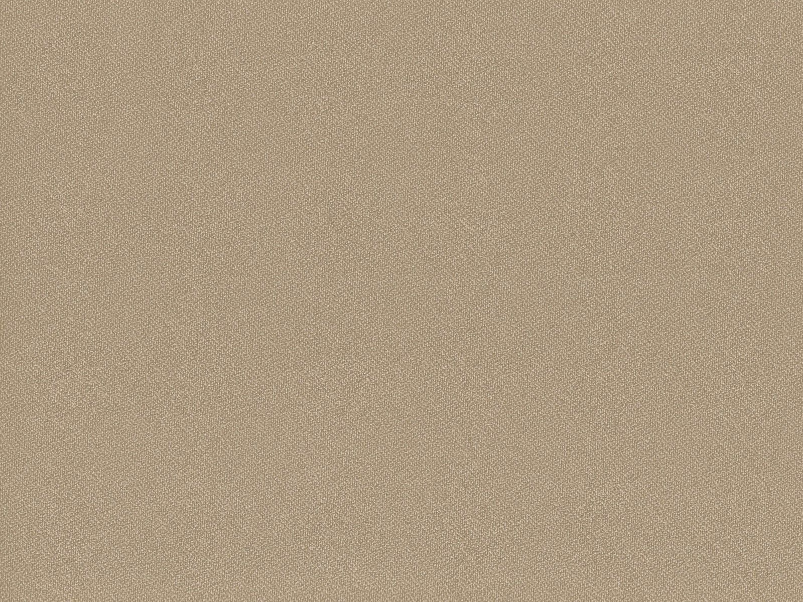 Soft taupe-beige flat weave with a fine, even pebbled texture