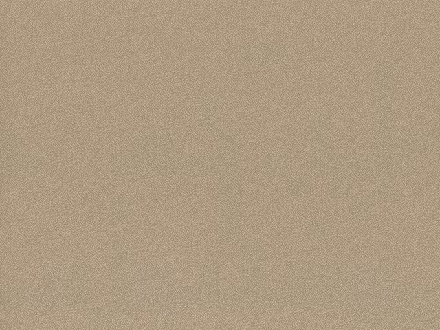 Soft taupe-beige flat weave with a fine, even pebbled texture