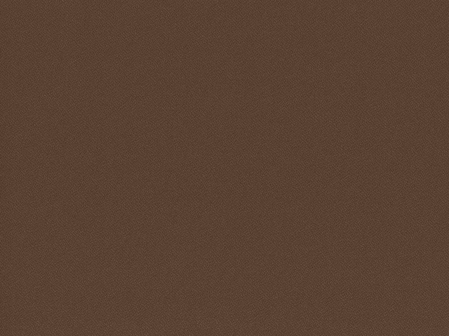 Warm cocoa-brown flat weave with a fine, subtly mottled surface