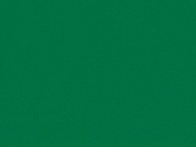 Close view of saturated emerald green fabric with a subtle flat-weave texture