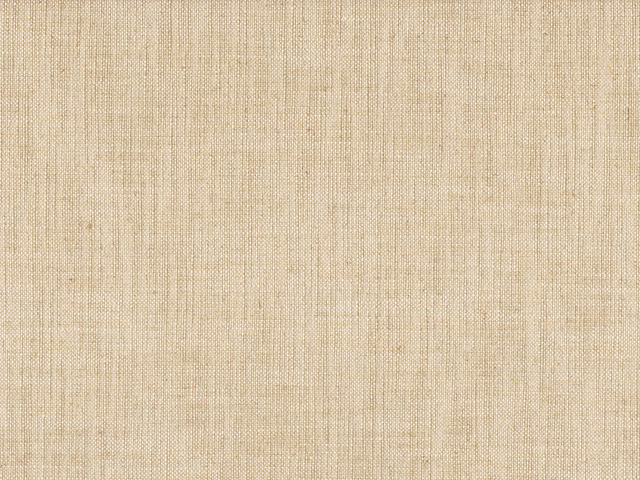 Warm beige flat weave showing fine vertical slubs and subtle linen-like texture