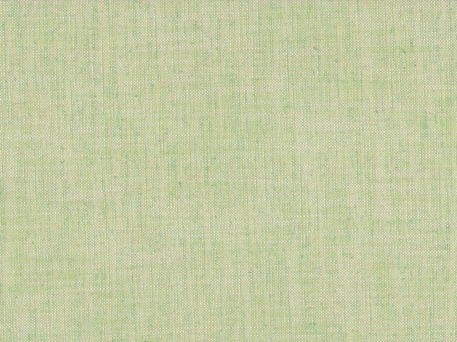 Pale sage-green flat weave with fine vertical striations and subtle tonal texture