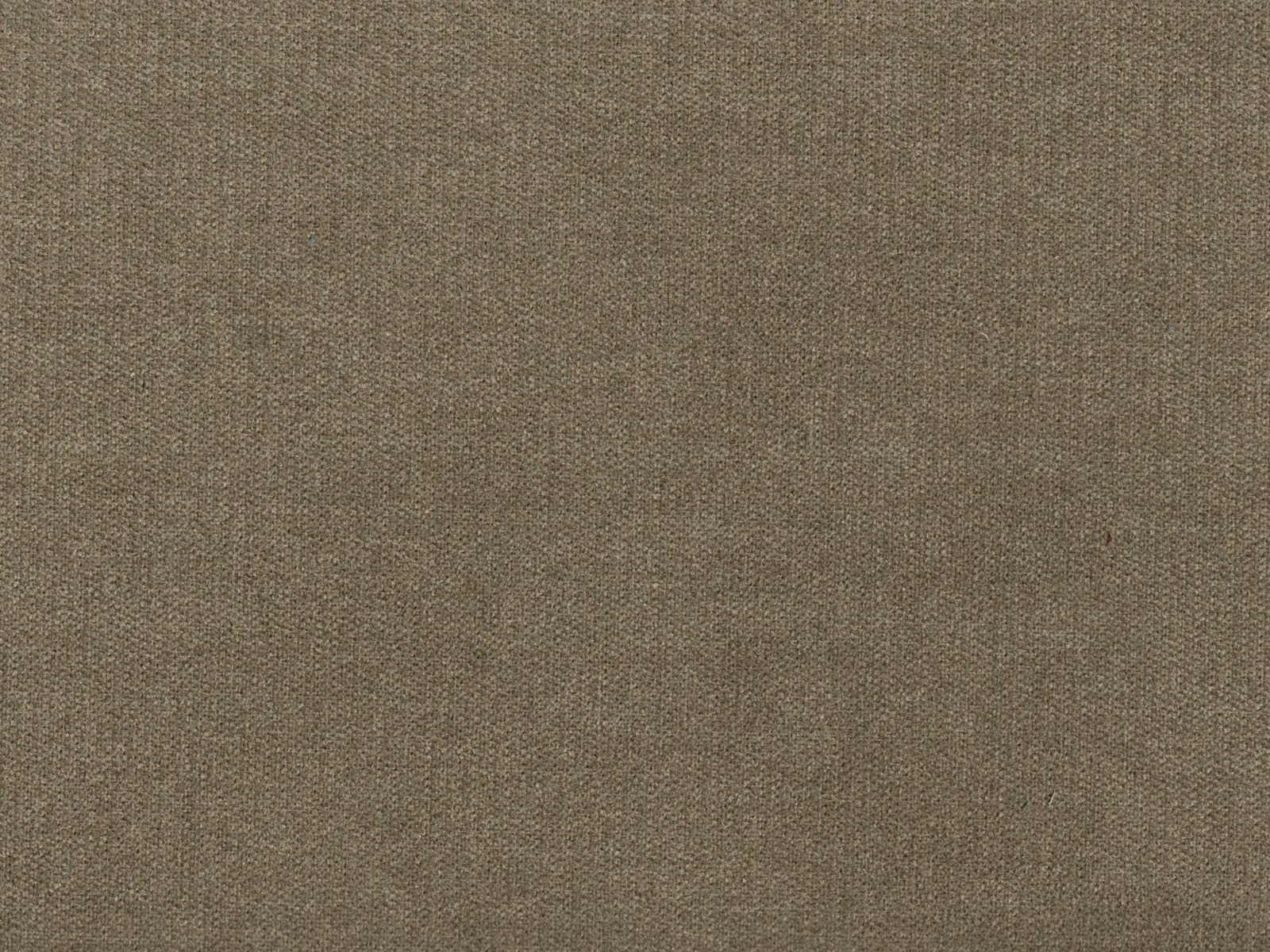 Close-up of muted taupe chenille with a softly grainy, even surface