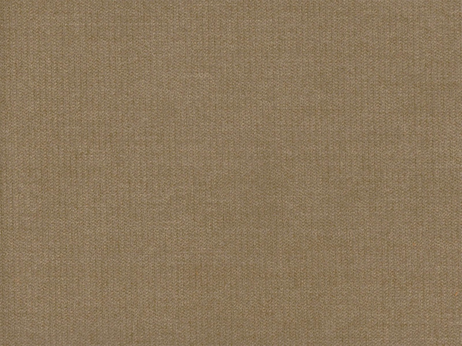 Muted taupe beige chenille with a fine, subtly ribbed woven texture