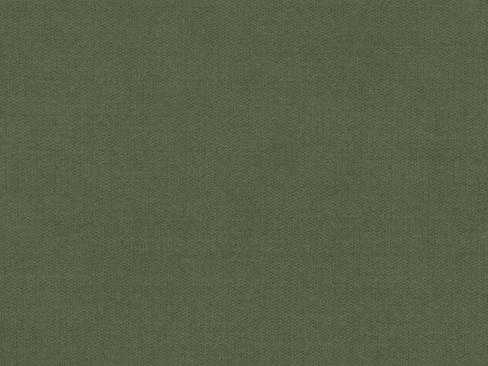 Muted moss-green chenille with a fine, closely woven textured surface