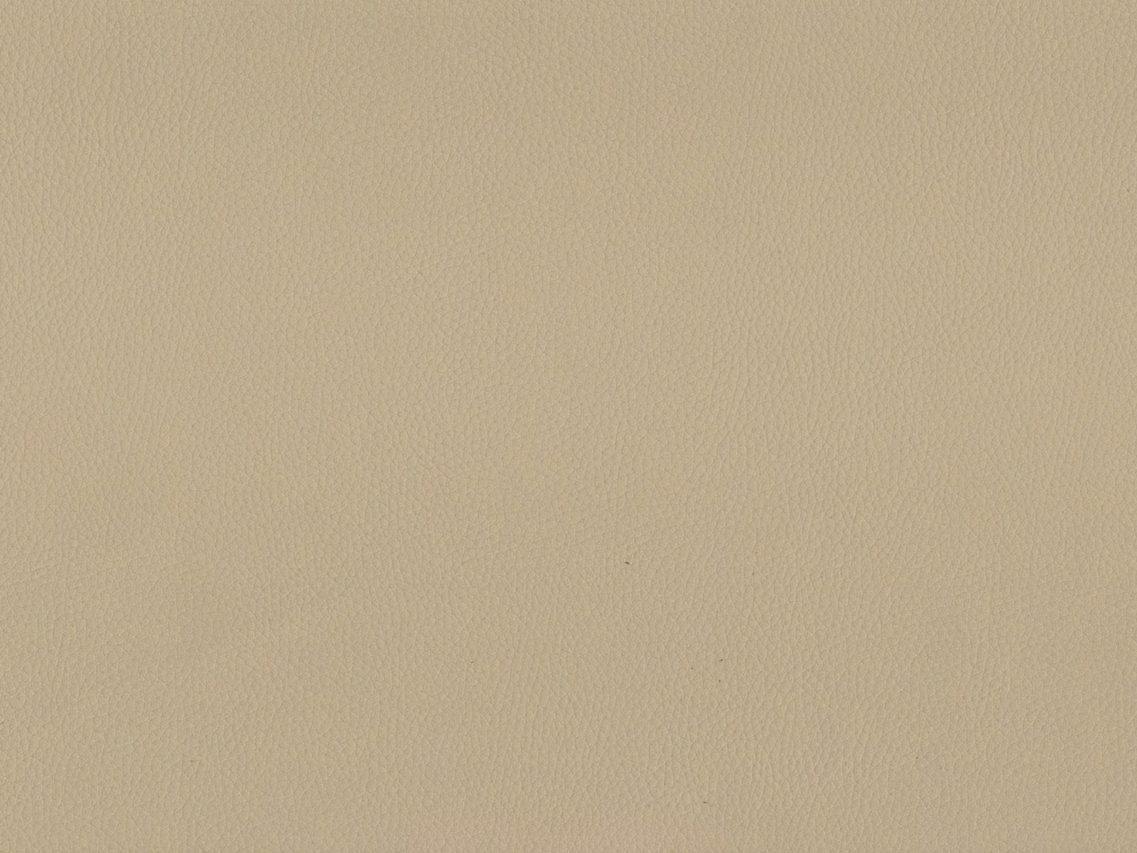 Pale warm beige faux leather with a fine, understated pebble grain