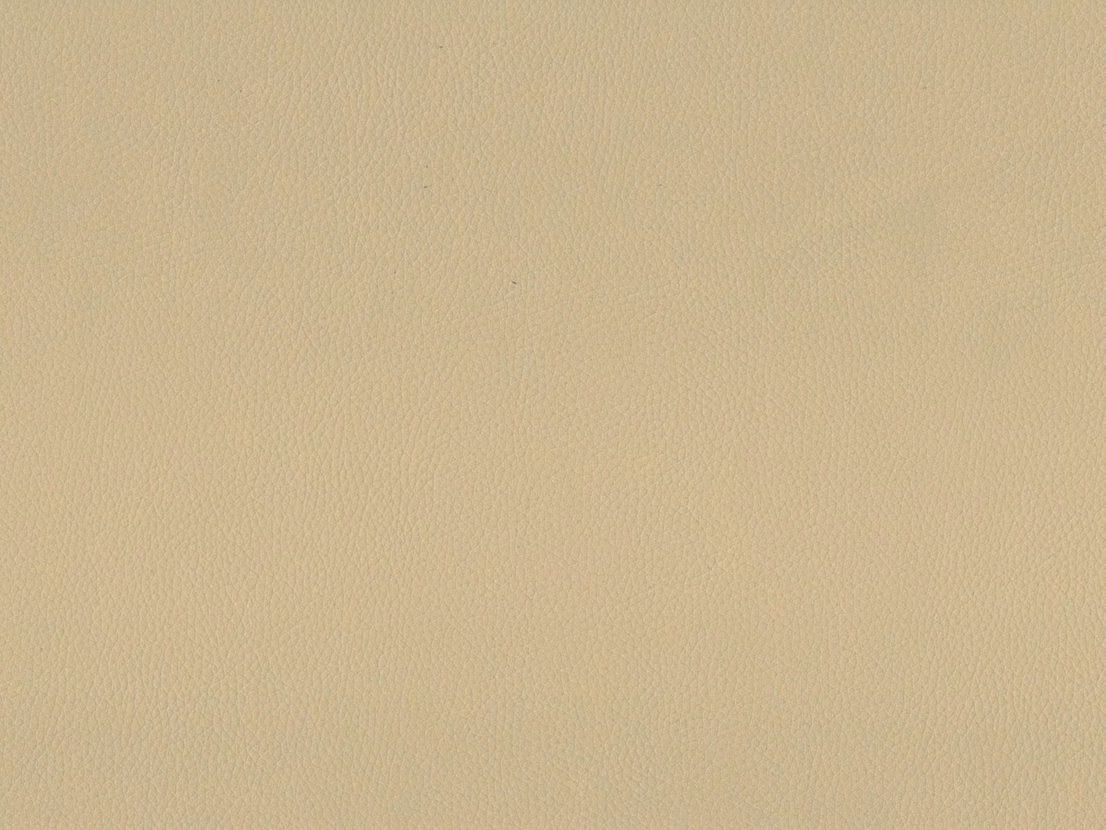 Pale warm beige faux leather with a fine, softly pebbled surface